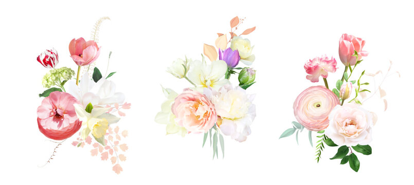 Bright roses, white peony, magnolia, tulips, ranunculus, greenery and branches floral vector bouquets. Bold colored watercolor. Blooming garden. Spring florals. Elements are isolated and editable