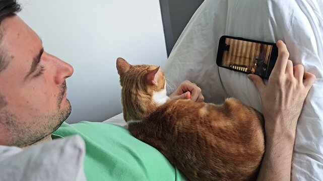 Man relaxing on bed with orange cat while watching video on smartphone. Cozy indoor lifestyle scene with pet companionship, mobile entertainment and leisure activity at home
