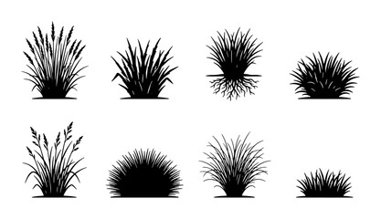 Vector Grass Silhouettes, Diverse Plant Clumps, Botanical Elements, Nature Icons Set © Tania