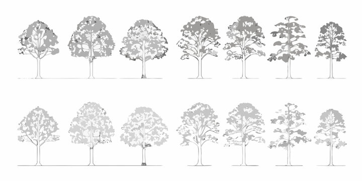 set of deciduous tree silhouettes on white background