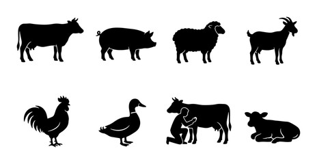 Obraz premium Farm Animal Silhouettes Collection: Cow, Pig, Sheep, Goat, Rooster, Duck, Calf, Milking Scene Vector Icons for Agriculture and Livestock Concepts