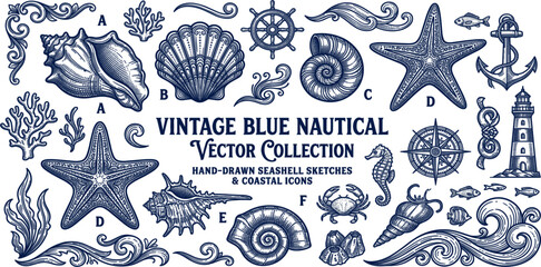 Vintage Nautical Illustration Collection Featuring Seashells, Starfish, Anchors, Lighthouse, and Marine Ocean Symbols in Hand Drawn Engraving Style © Md Monjurul