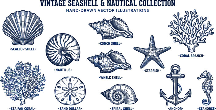 Vintage Seashell and Nautical Vector Collection with Starfish, Coral, Anchor, Seahorse, Spiral Shells, and Hand Drawn Marine Illustrations