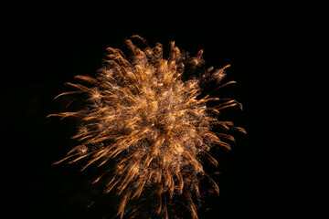 Fototapeta premium fireworks in the night sky