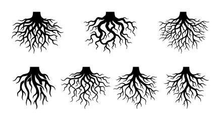 Set of 8 Black Tree Root Illustrations, Organic Growth Patterns, Plant Biology Vector Icons, Natural System Elements © Mou