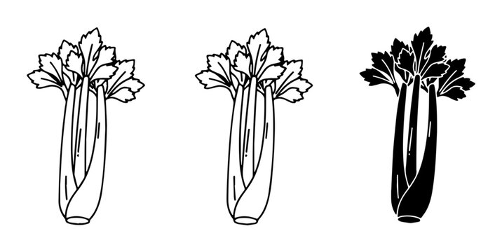 Celery Stalk Vector Icons, Fresh Vegetable Illustrations, Healthy Food Graphics, Organic Produce Line Art and Silhouette