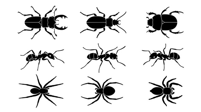Beetle insect icons set with bold line art silhouettes, including beetle, stag beetle, and horned beetle variations