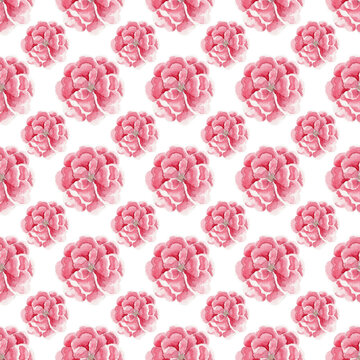 Pink Floral Seamless Pattern