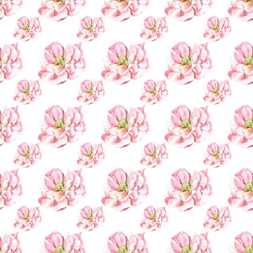 Magenta Flowers Seamless Pattern