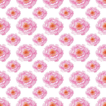 Pink Rose Blossom Seamless Pattern