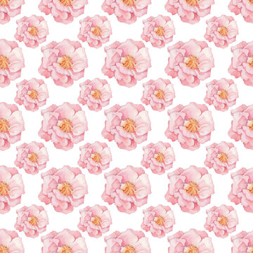 Pink Rose Garden Seamless Pattern