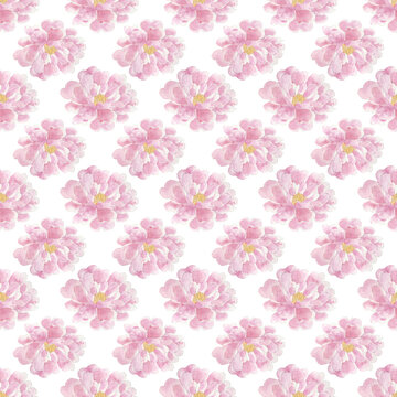 Light Pink Roses Seamless Pattern