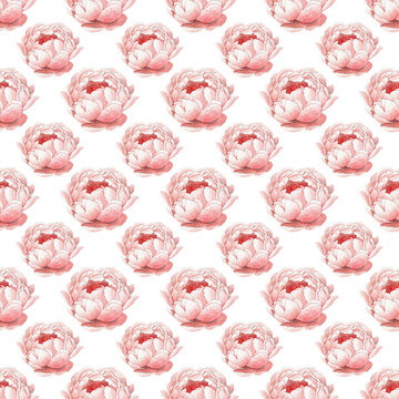 Coral Pink Roses Seamless Pattern