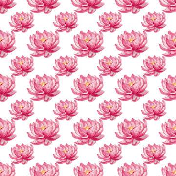 Magenta Lotus Flowers Seamless Pattern