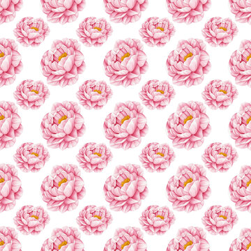 Pink Peony Flowers Seamless Pattern