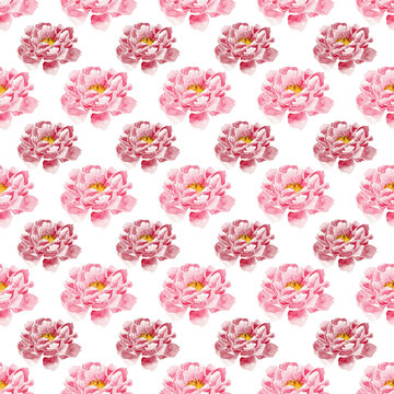 Pink and Magenta Roses Seamless Pattern