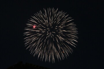 Fototapeta premium fireworks in the night sky