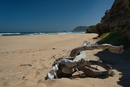 A piece of driftwood rests on a sandy beach, with gentle waves lapping at the shore and cliffs in the background under a clear blue sky.