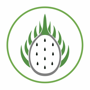 Drachenfrucht