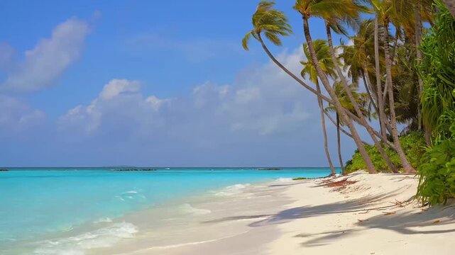 A serene tropical beach with palm trees leaning over the shoreline, ocean waves gently lapping at the sand on a sunny day with a clear blue sky and clouds.