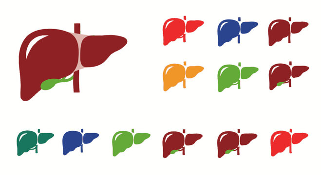 Human Liver Anatomy Icons Set, Medical Health Care Concept