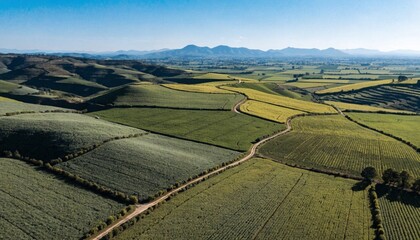 Aerial view from flying drone of farmland in south Africa, green fields.  © pinan