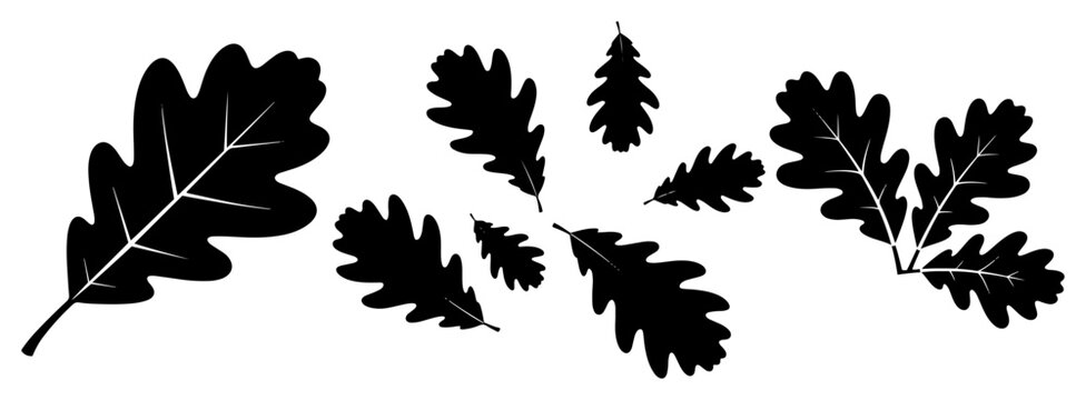 Oak leaves set in minimalist black silhouette vector style