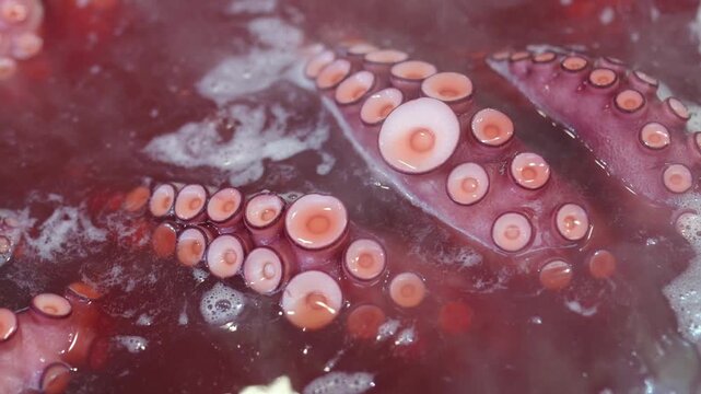 Fresh octopus tentacles with suckers boiling in hot water. Professional preparation of a seafood delicacy, a typical galician style tapa