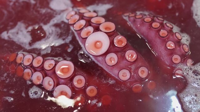 Close up of octopus tentacles boiling in a pot of red water. Traditional preparation for a spanish dish, pulpo a la gallega tapa