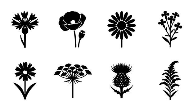 Wildflower Silhouettes Vector Set, Botanical Icons Collection, Floral Elements for Design, Nature Graphics