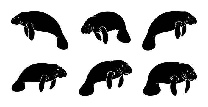 Six Silhouette Manatees, Marine Mammal Vector Icons, Gentle Sea Cow Illustrations, Aquatic Wildlife Graphics, Underwater Creature Set, Ocean Life Collection