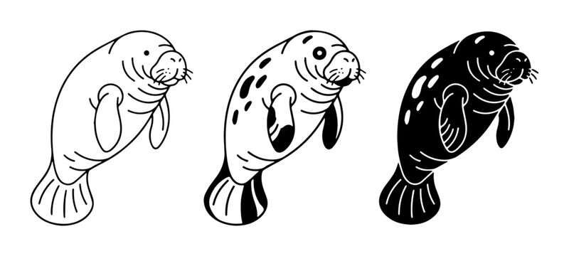 Three Manatee Vector Illustrations: Outline, Spotted, and Silhouette Styles for Marine Life Designs