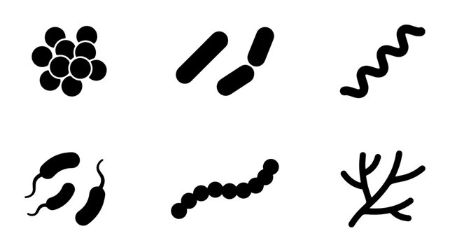 Diverse Microbe Shapes Vector Icons: Bacteria, Cocci, Spirilla, Bacilli, Vibrio, and Branching Forms for Science and Health Graphics