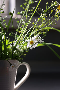Cozy Spring at Home Still Life with Fresh Wildflowers and Renewal