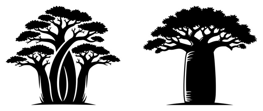 African baobab trees silhouettes set on white background black minimalist style