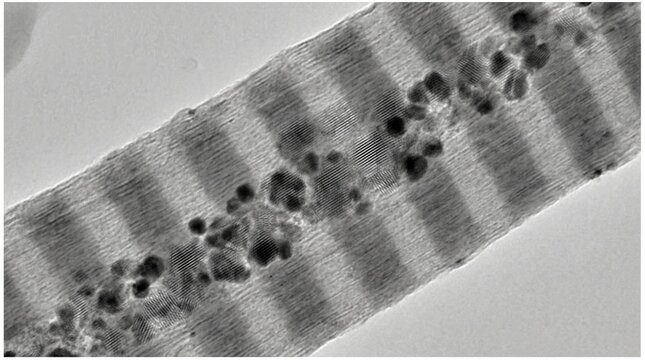 Mineralized Calcium Phosphate Crystal Nucleation HRTEM