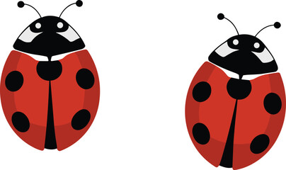 Stylized ladybug insect vector illustration pair with red shells, black spots, nature design and educational biology artwork © Mahabuba