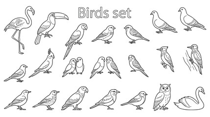Fototapeta premium Set of line art birds illustrated for coloring book activity pages.
