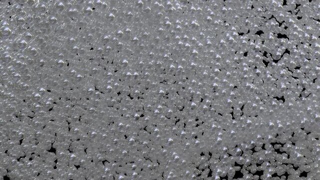 Microscopic transparent 3D protein cells with dynamic organic particles seamless loop animation procedural geometric 3D render.