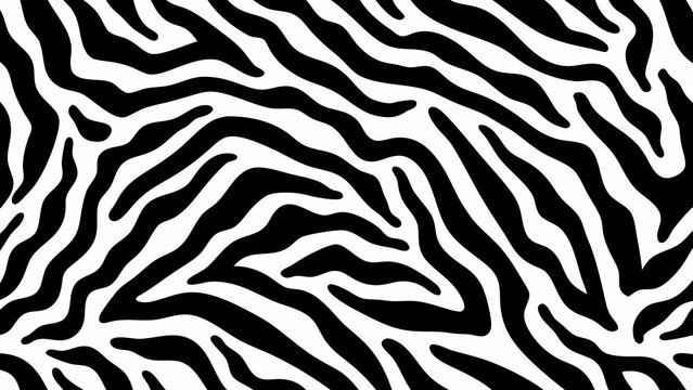 seamless zebra stripe pattern black and white animal print with organic flowing lines