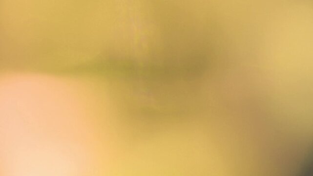 A soft light transition with dreamy luminance and graceful dissolve effect.