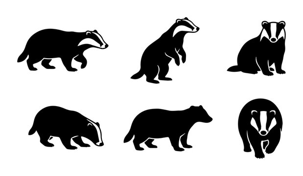 Set of Six Black Badger Silhouettes, Wildlife Animal Icons, Vector Graphics for Nature and Forest Themes