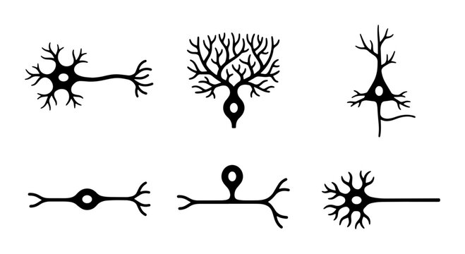 Diverse Neuron Cell Illustrations, Neural Network Elements, Brain Science Icons, Medical Biology Graphics, Vector Set