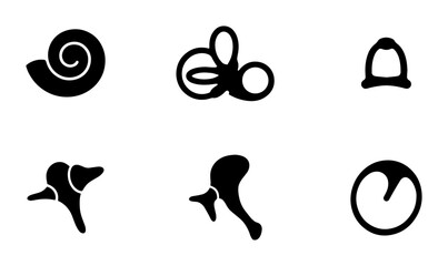 Human Inner Ear Anatomy Icons, Vestibular System Diagrams, Cochlea and Semicircular Canals Vector Set © Mamunur