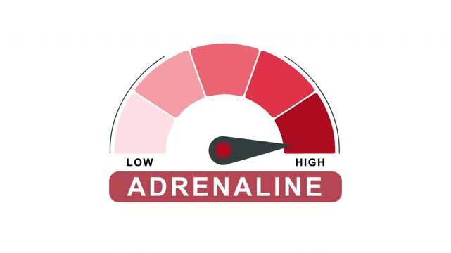Adrenaline Level Gauge Meter Animation Low to High Progress Indicator