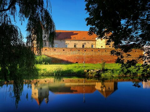 Reflection