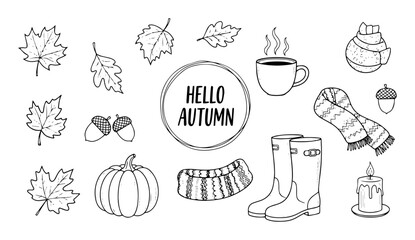 autumn fall season hand drawn doodle elements vector © Aisha Kudorova