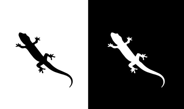 gecko silhouette vector illustration, salamander silhouette vector illustration, silhouette, animal silhouette black, vector, illustration, art, design, black, white, wildlife, lizard silhouette, 