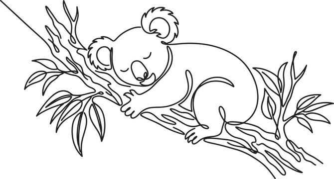 koala bear sleeping on tree branch with leaves