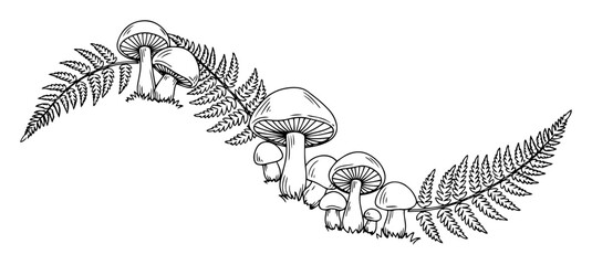 hand drawn mushrooms and fern leaves decorative composition © Aisha Kudorova